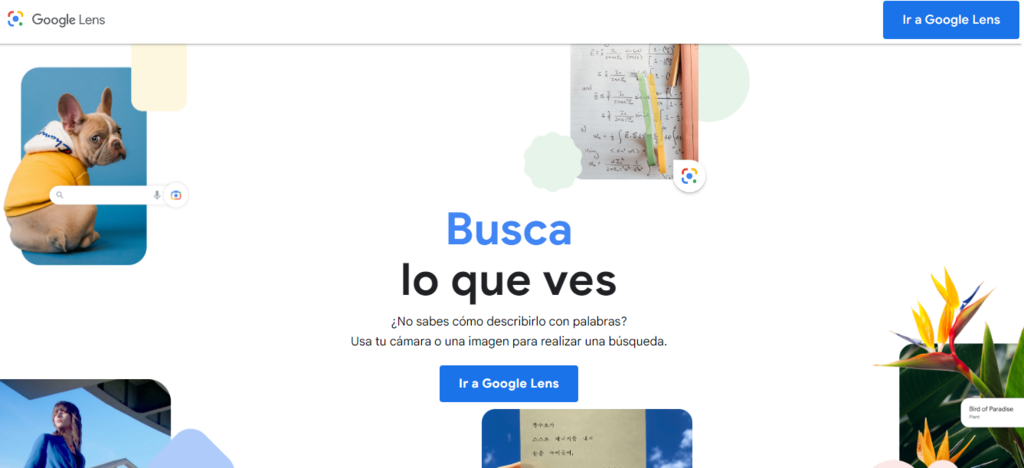 Página de inicio de Google Lens