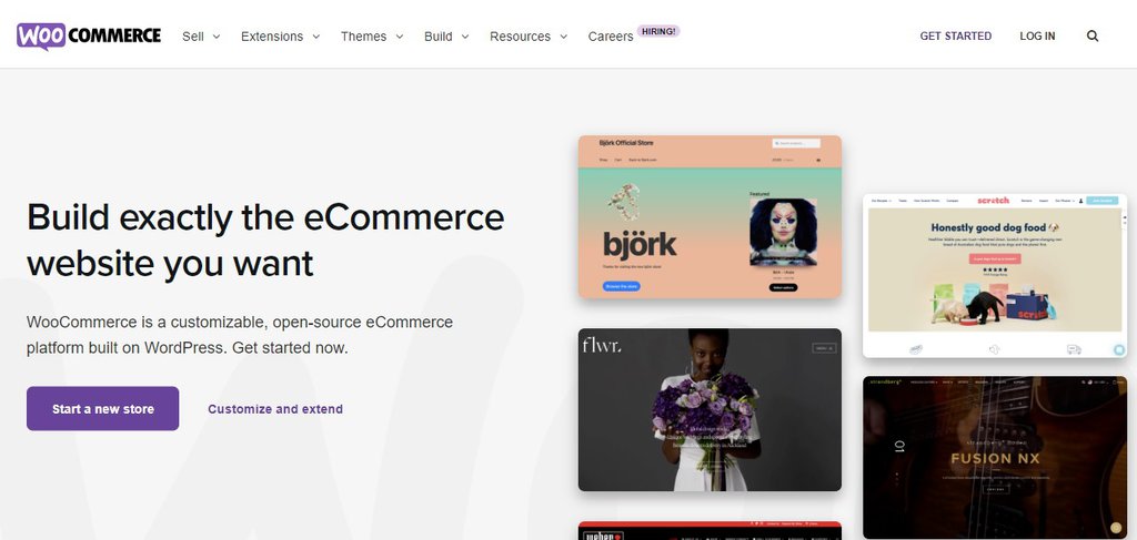 P&aacute;gina web principal de WooCommerce