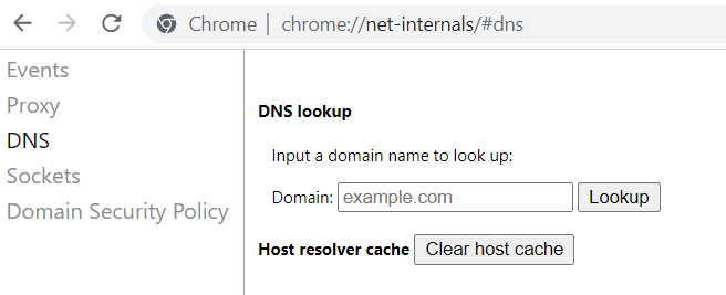 Secci&oacute;n para vaciar DNS de Chrome