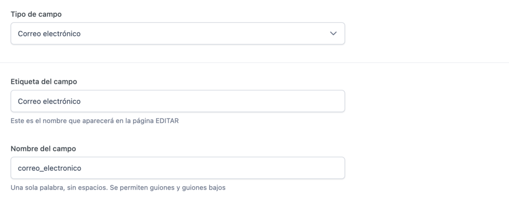 Formulario para crear un nuevo campo de correo electr&oacute;nico