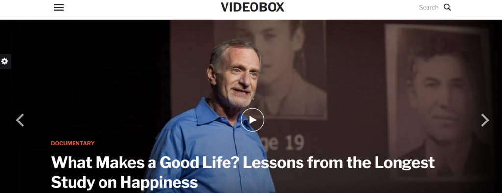 P&aacute;gina del tema de WordPress para videos VideoBox