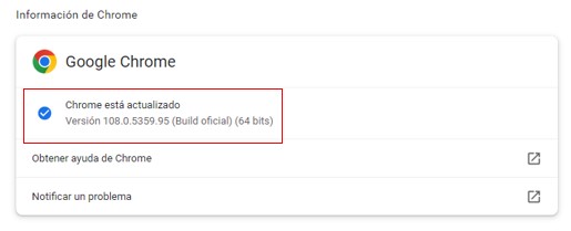 Opci&oacute;n de la informaci&oacute;n de Chrome para ver las actualizaciones