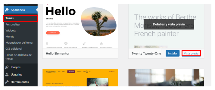 Visualizaci&oacute;n de la opci&oacute;n de vista previa en el panel de WordPress