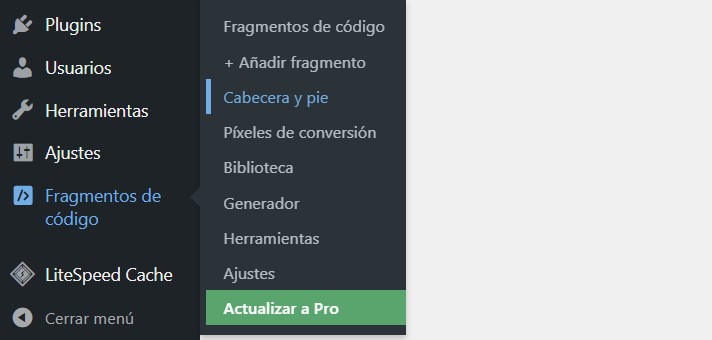 Sección Cabecera y pie en el plugin Insert Headers and Footers.