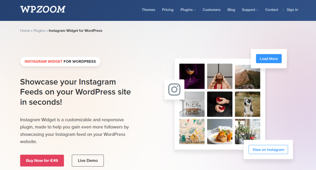 P&aacute;gina web de WPZOOM