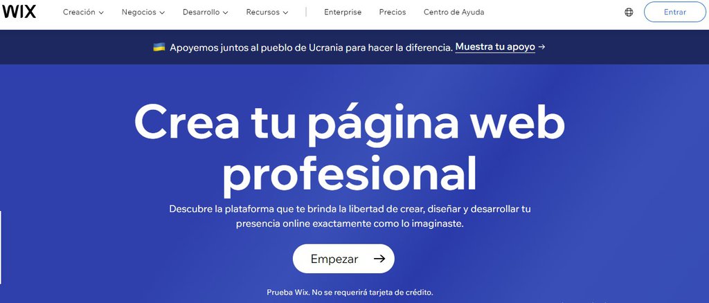 P&aacute;gina web de Wix