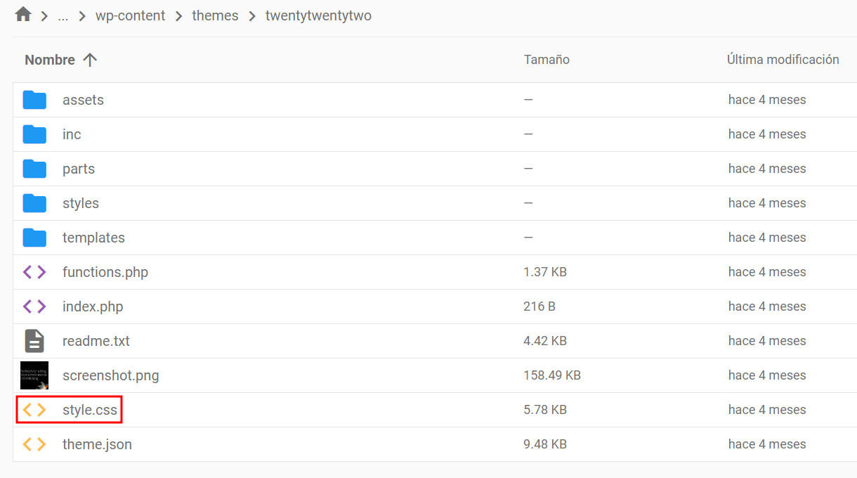 Visualizaci&oacute;n del archivo style.css en el administrador de archivos.