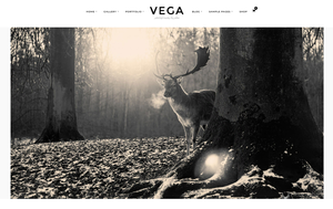 Plantilla para WordPress Vega