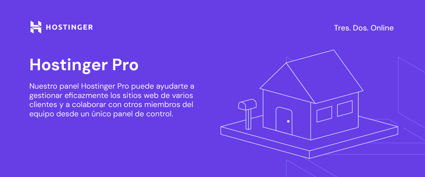 Caracter&iacute;sticas de Hostinger Pro de Hostinger