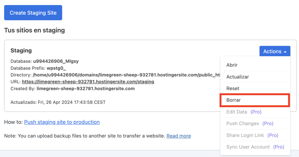 Opción de Borrar sitio de staging de WP staging
