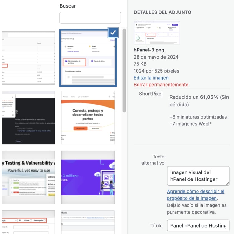 Ejemplo de texto alternativo en el editor de WP
