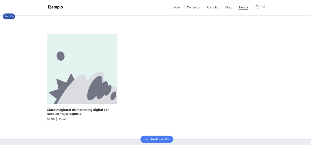 Producto del ejemplo de un sitio web