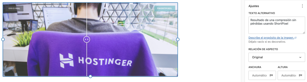 Secci&oacute;n de Texto alternativo del editor de WordPress