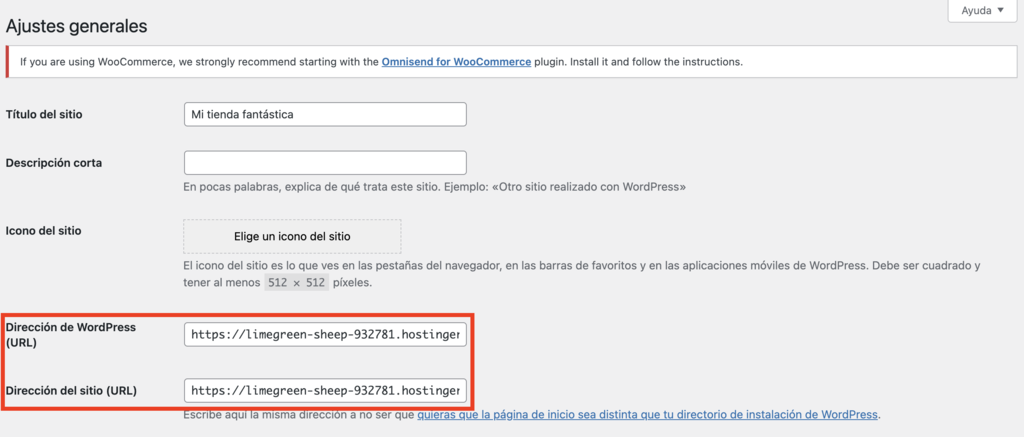 Secci&oacute;n de ajustes generales de WordPress