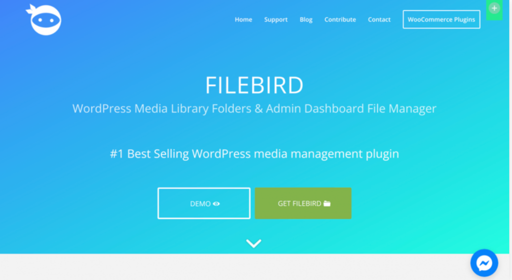 P&aacute;gina de inicio de FileBird