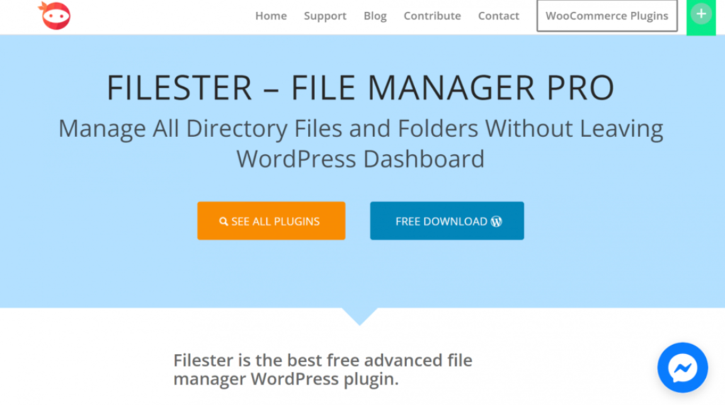 P&aacute;gina de inicio de Filester