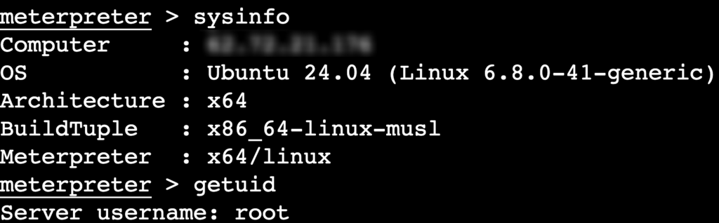 Terminal Meterpreter