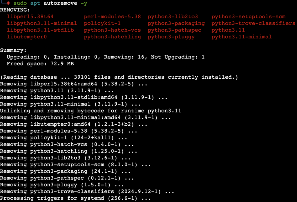 uso del comando autoremove en terminal