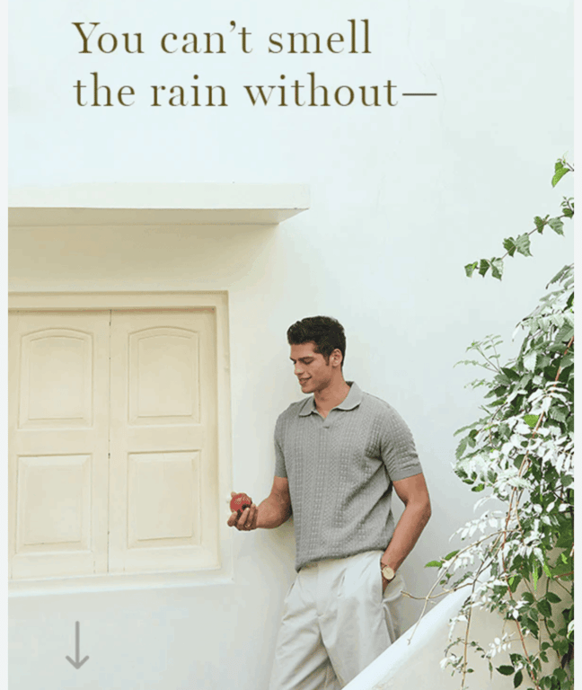 Campaña de email marketing de Andamen que muestra el titular