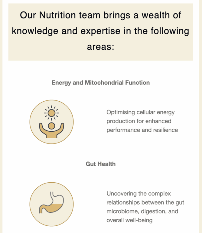 Campaña de email marketing de Inessa que demuestra experiencia