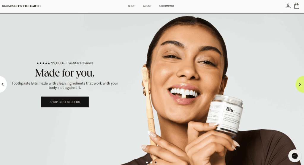 Página de inicio de Toothpaste Bits y ejemplo de web de ecommerce