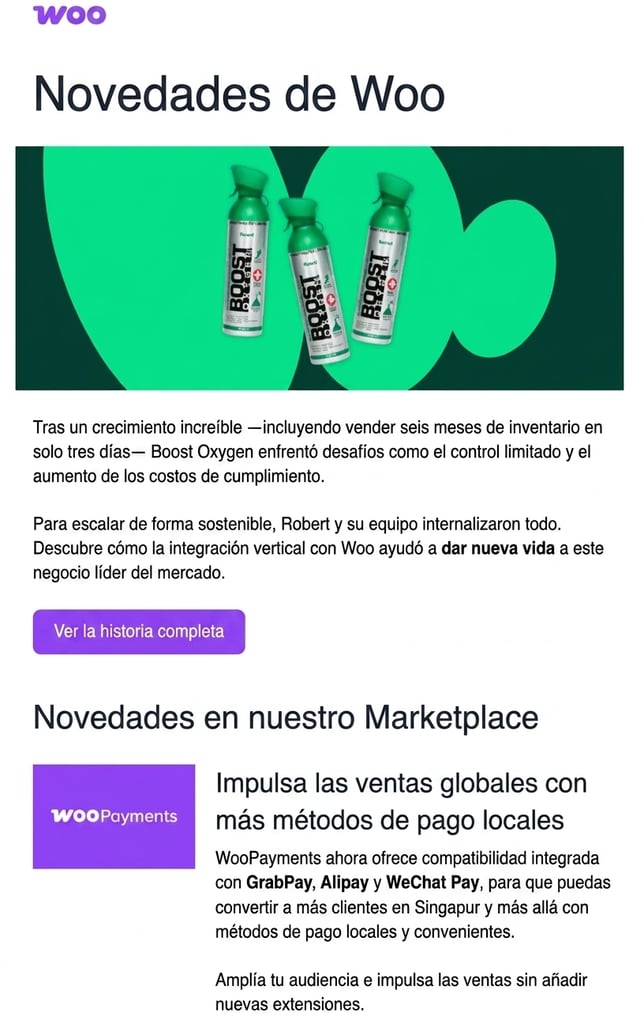 Newsletter de WooCommerce
