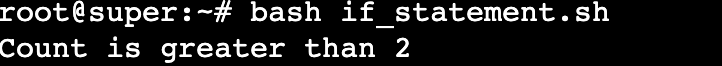 El terminal muestra el resultado de un script que combina una sentencia if con una variable de Bash