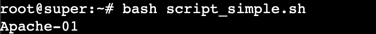 El terminal muestra el valor de una variable de un script