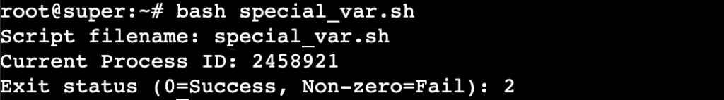 El terminal muestra los valores de varias variables especiales de Bash