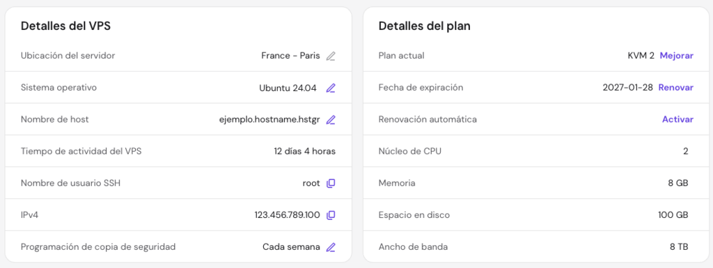 La secci&oacute;n de detalles del VPS en la p&aacute;gina de Descripci&oacute;n general del VPS de hPanel