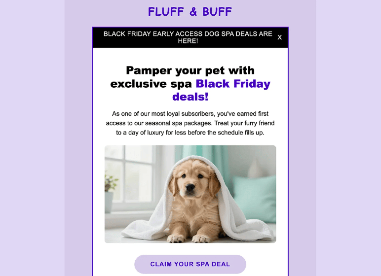 Ejemplo de email de Black Friday con acceso exclusivo para suscriptores