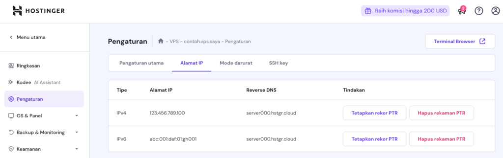 bagian ptr record si pengaturan vps hpanel