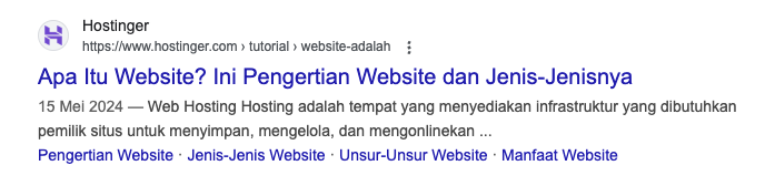 tampilan hasil artikel hostinger di serp google