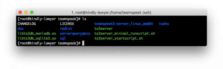 File server TeamSpeak 3 yang terdaftar
