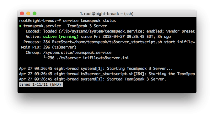 Informasi status server TeamSpeak 3