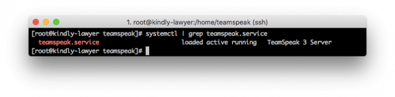 Mengecek apakah server TS3 telah berhasil dijalankan di boot atau belum