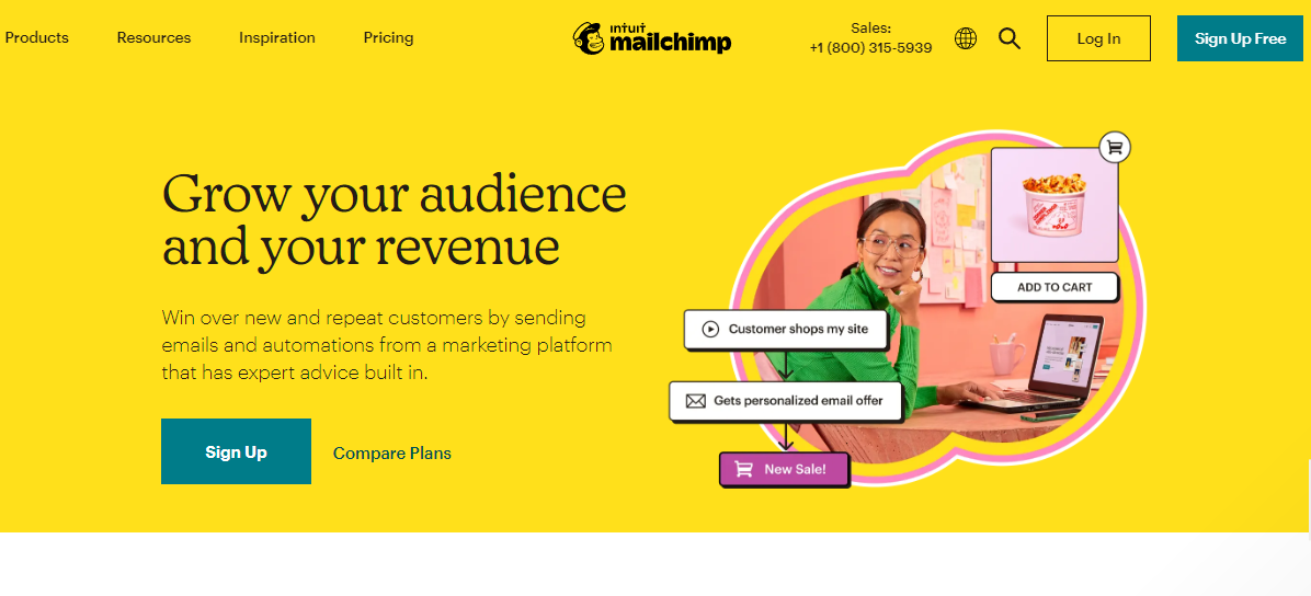 mailchimp untuk email marketing