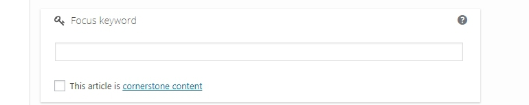 Custom field WordPress