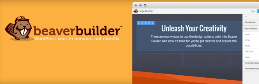 Plugin beaver builder
