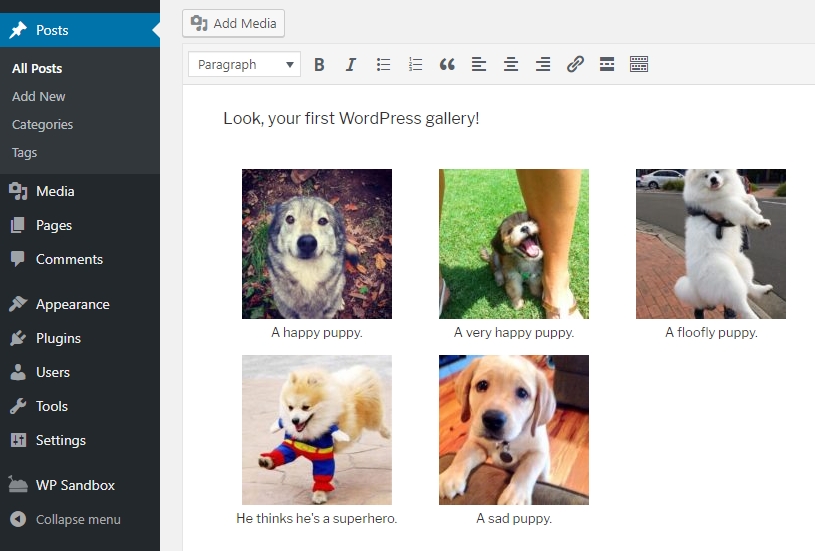 Tampilan akhir galeri