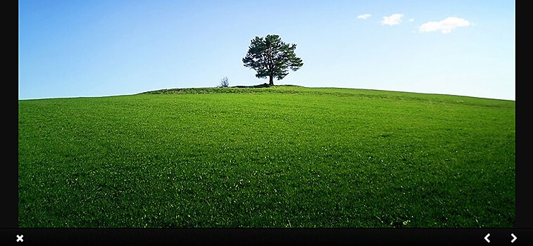 Contoh penggunaan plugin Responsive Lightbox & Gallery