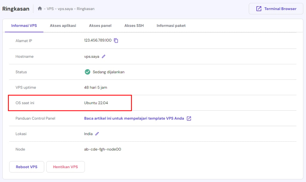 tampilan bagian ringkasan vps di hpanel dengan kolom os yang dipilih
