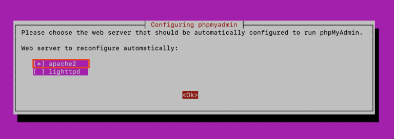 tampilan terminal dengan konfigurasi apache2 yang dipilih