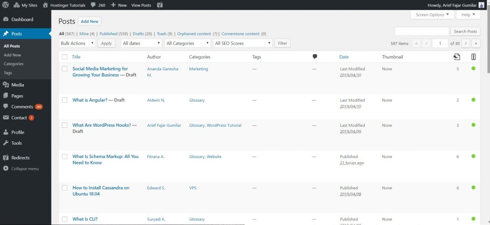 tampilan laman admin WP