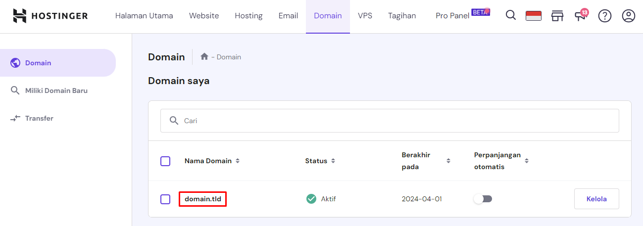 memilih domain di hpanel
