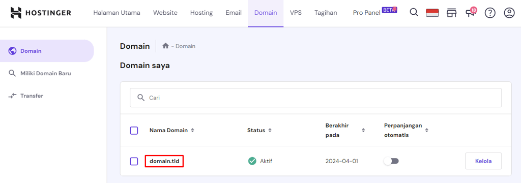memilih domain di hpanel