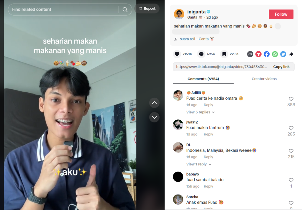 menjadi content creator tiktok sebagai ide usaha online