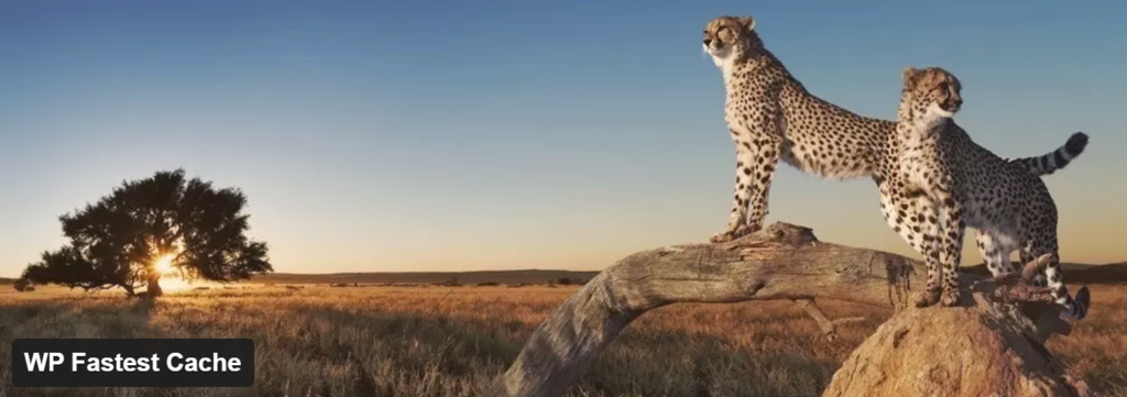 banner WP Fastest Cache