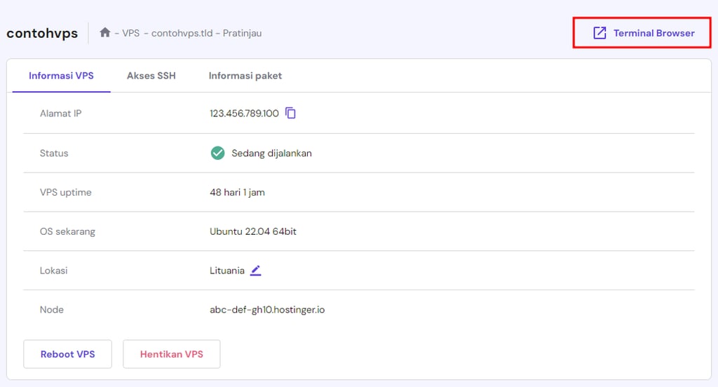 tampilan bagian vps di hpanel dengan tombol terminal browser yang dipilih