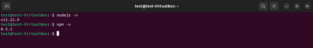 meminta command line menampilkan versi node js dan npm yang terinstal
